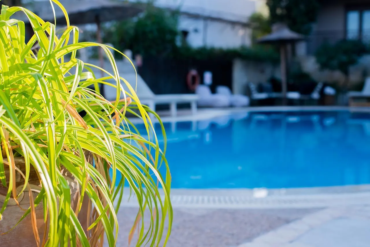 Stamos Hotel Afytos Grecja