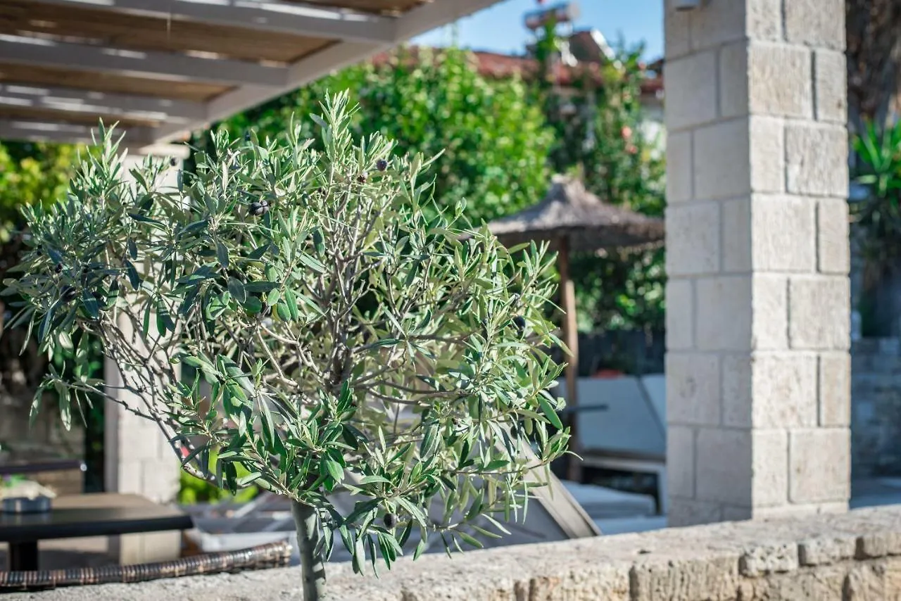 Stamos Hotel Afytos